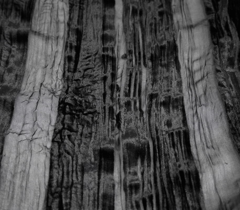 Black Velvet Shirt with Transparent Stripes / Gothic Elegant Shirt with Silver Buttons