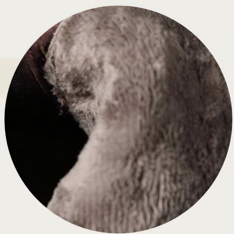 Casual Women's Stylish Boots Of Genuine Leather / Short Warm Footwear Of Thick-Soled