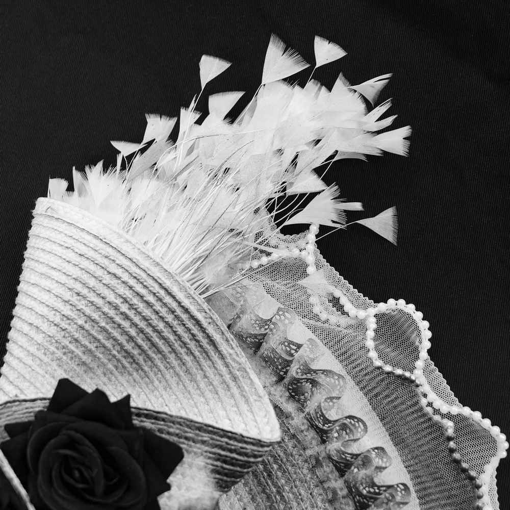 Elegant Black and White Floral Fascinator Hat with Feathers