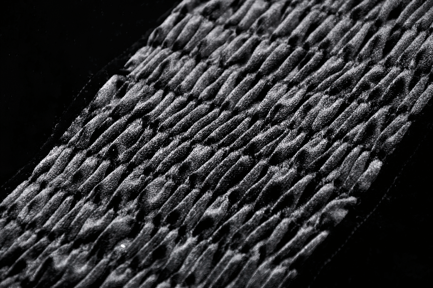 Elegant Women's Velvet Corset with Lace Up Front