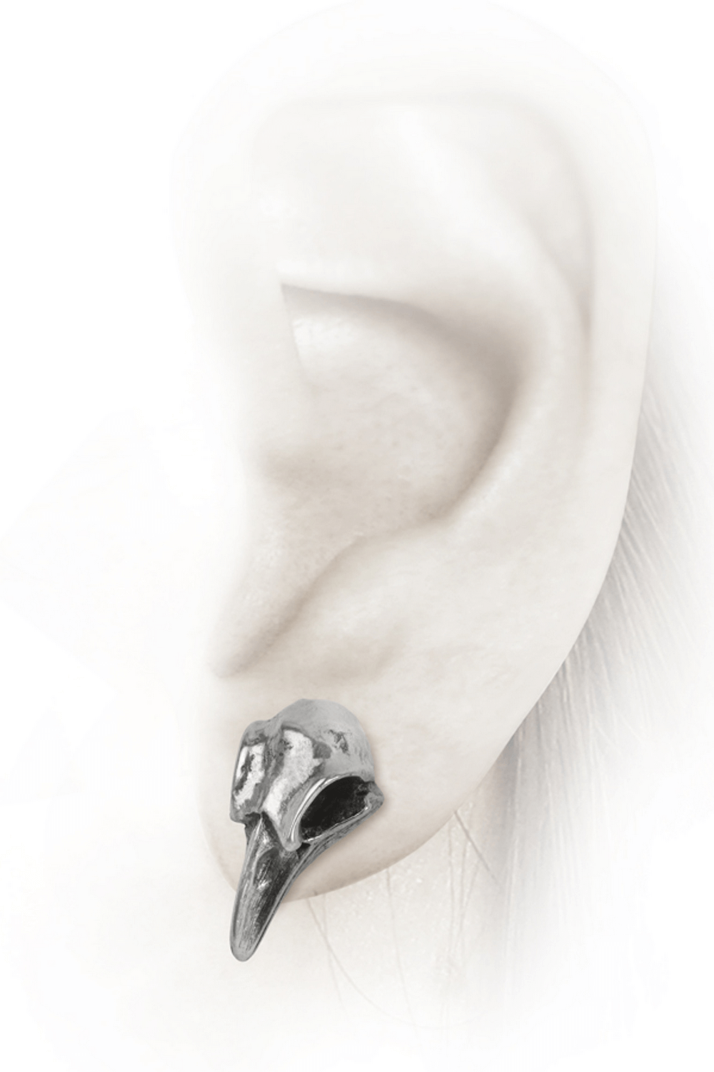 Miniature Pewter Raven Skull Earrings with Surgical Posts