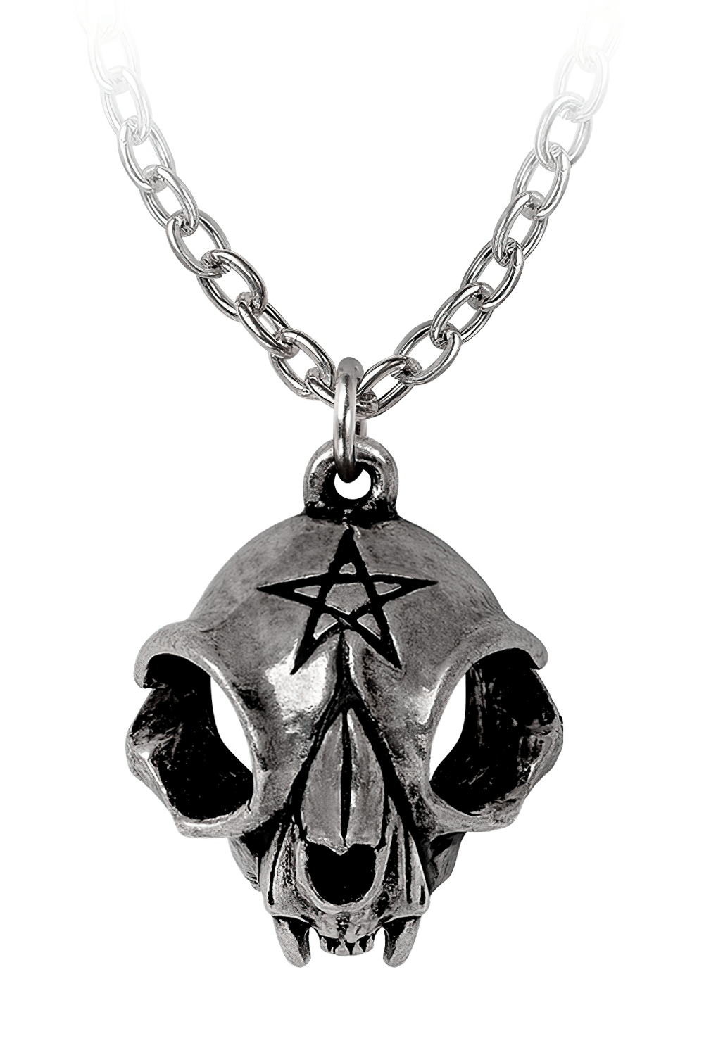 Polished Cat Skull Pendant with Pentagram Design