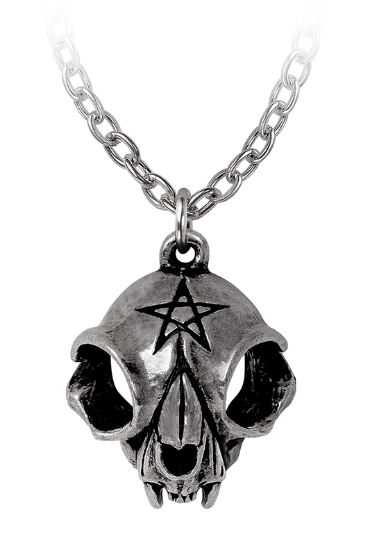 Polished Cat Skull Pendant with Pentagram Design