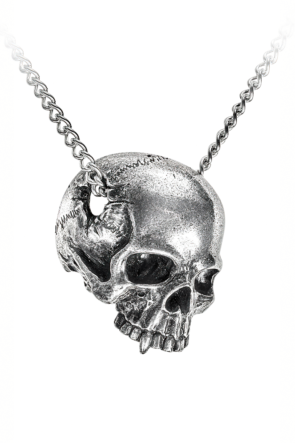 Skull Pendant Necklace with Temporal Perforation and Chain