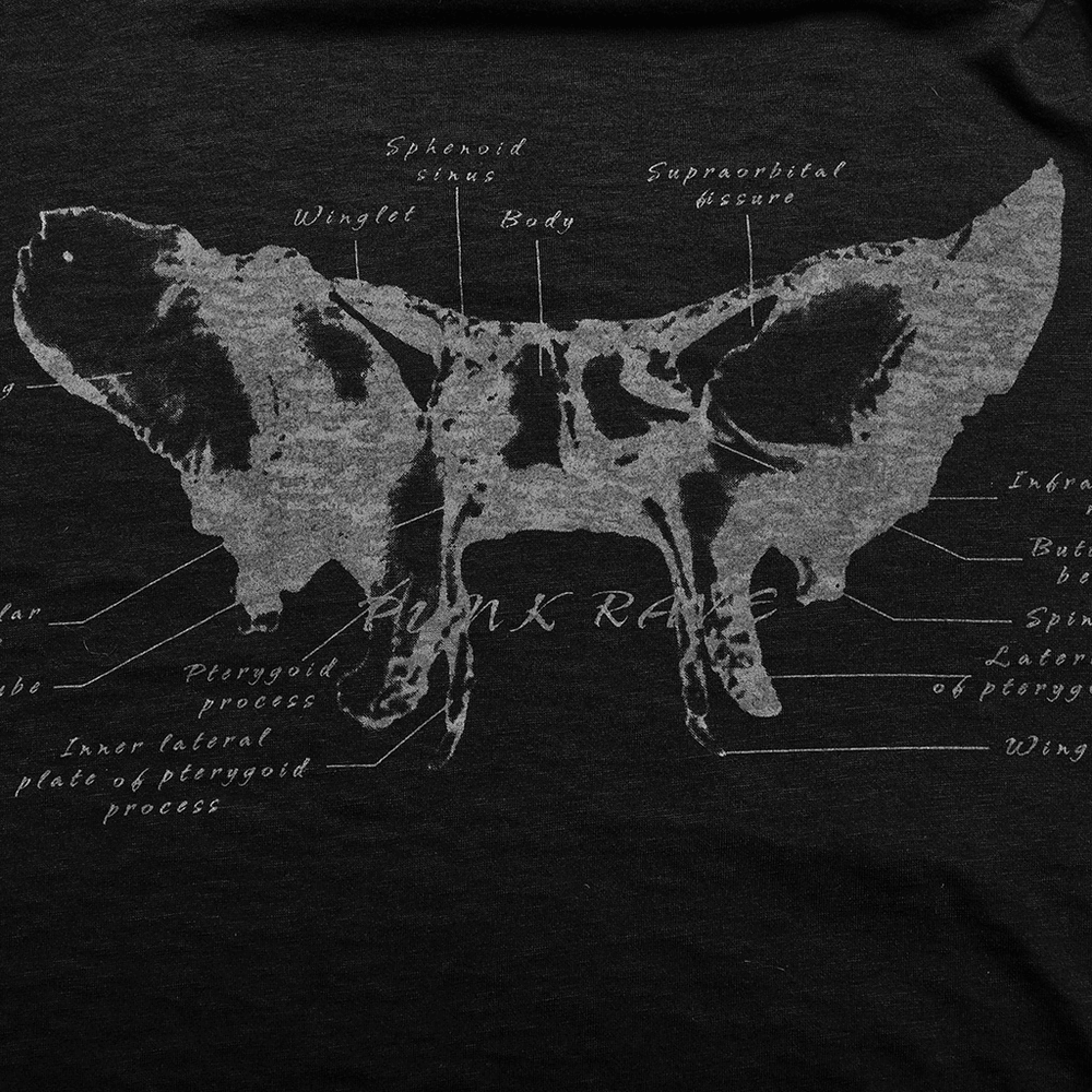 Skull Print Off-the-Shoulder with Long Sleeves Top